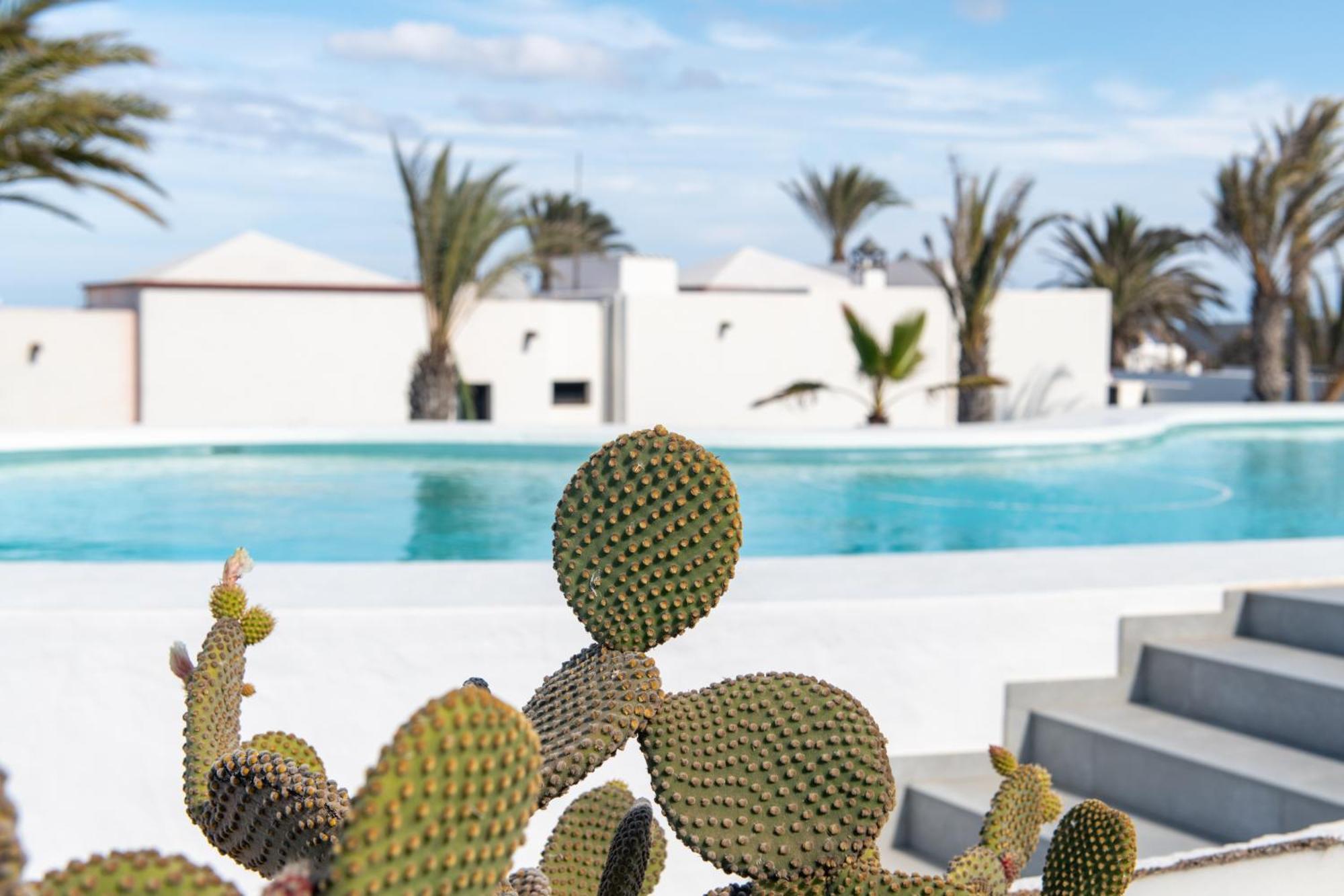 Villa Blanca Nudist Place 查德尔帕罗奥 外观 照片